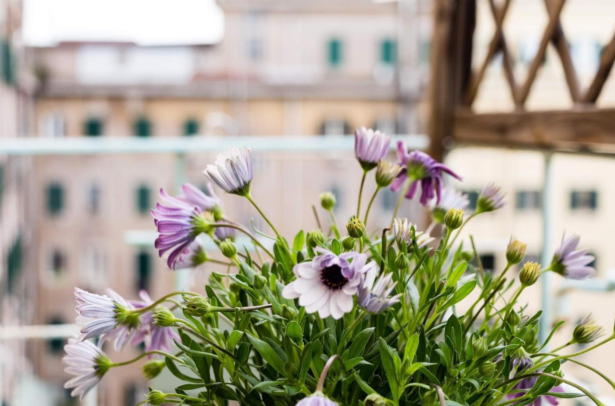 Torripa Group - Prati Hotel Rome Room photo